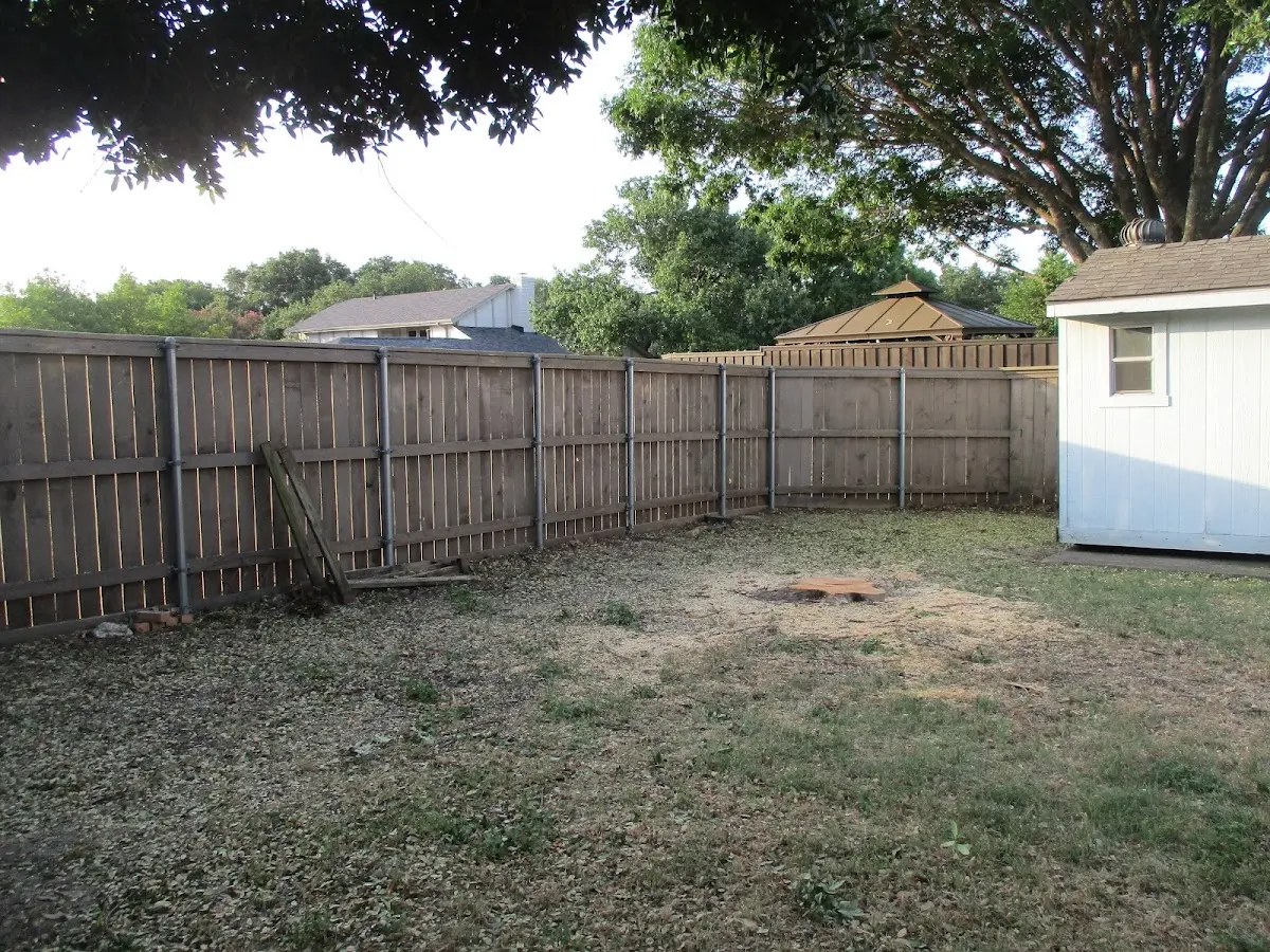 Cleared yard after professional tree removal in Richland Springs